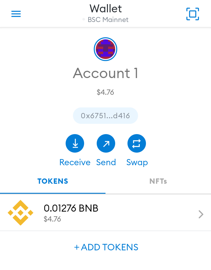 Step 6: Connect Metamask to BSC