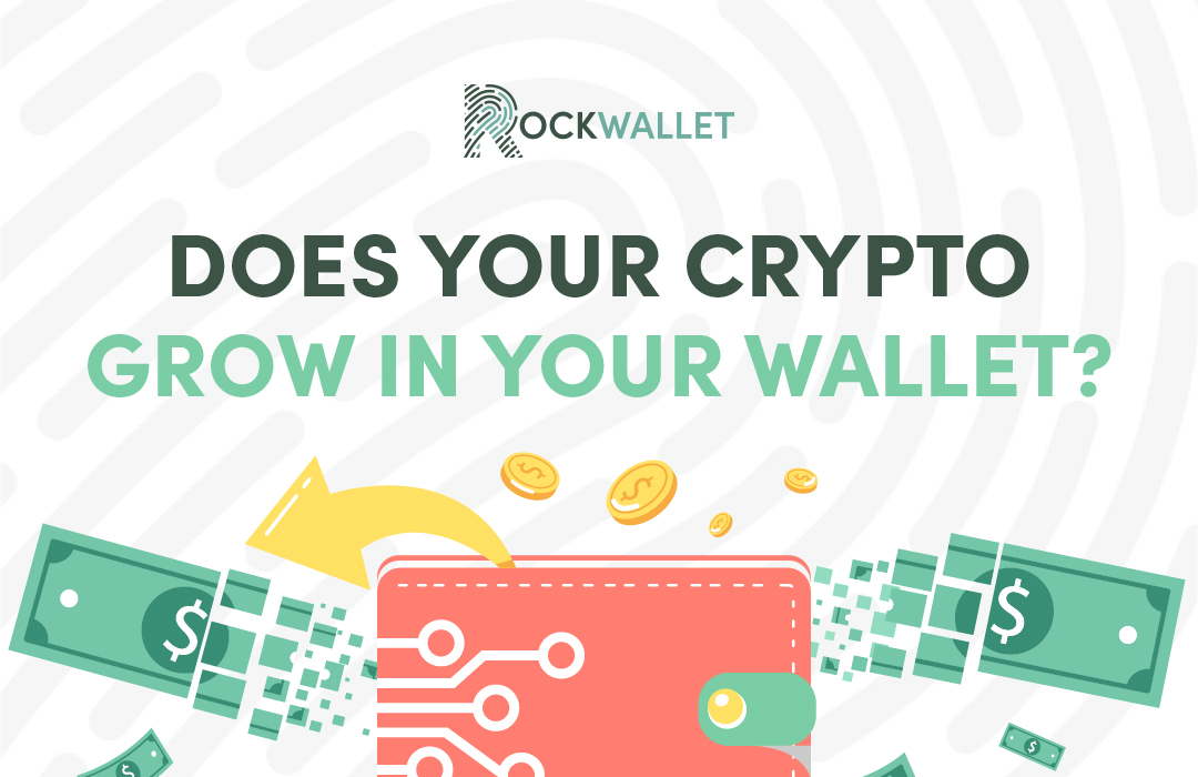Does a Wallet Influence Your Crypto's Growth?