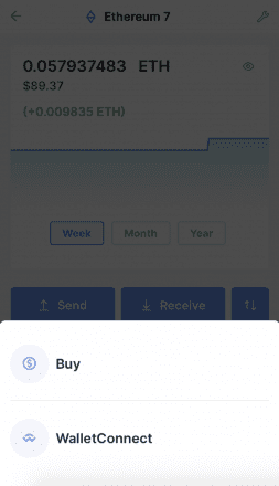 Advanced Security Measures in WalletConnect Ledger