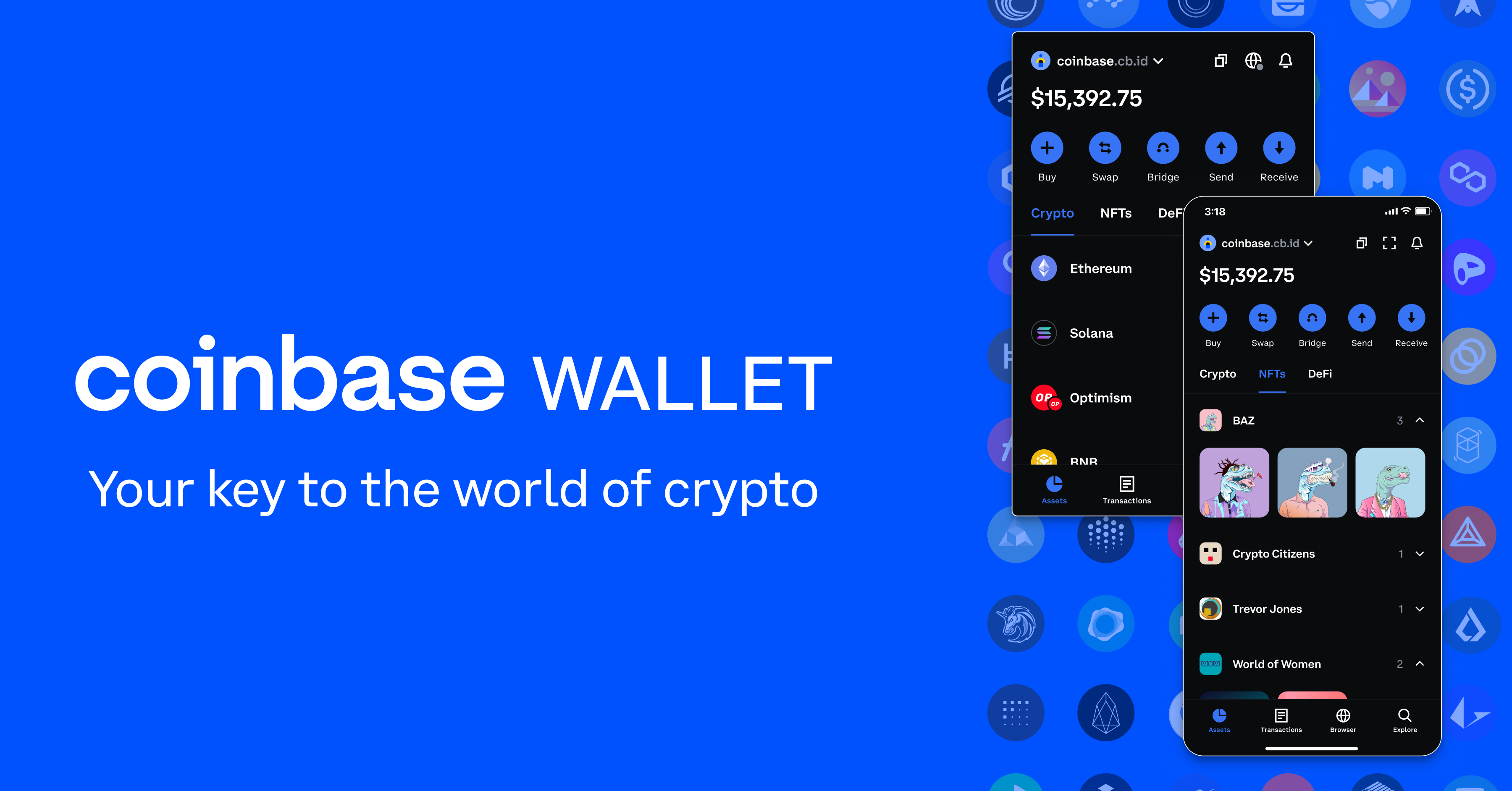 Secure and Reliable Wallet